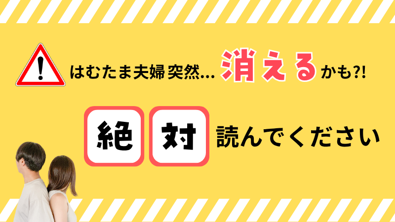 保護中: はむたま夫婦…突然消えるかも?!絶対読んでください⚠️